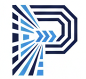 Planopti logo